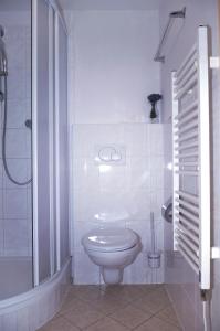 a white bathroom with a toilet and a shower at Penzion a restaurace Sokolí boudy in Dolní Malá Úpa