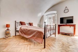 a bedroom with a bed and a flat screen tv at Studio Nicolas Prague in Prague
