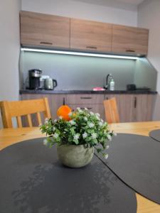 Køkken eller tekøkken på ApartHotel11