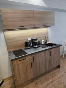 Kuchyň nebo kuchyňský kout v ubytování ApartHotel10