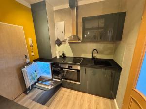 une cuisine avec un évier et une cuisinière four supérieur dans l'établissement Altstadt Quartier 2, à Bad Freienwalde