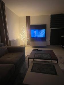 ein Wohnzimmer mit Couch und Flachbildfernseher in der Unterkunft Villa Apartments Mirela in Vlasic