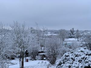 un patio cubierto de nieve con árboles y casas en Chez Fernand, en Hotton
