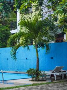 a palm tree and a bench next to a blue wall at Difference Rajarata Hotel in Anuradhapura