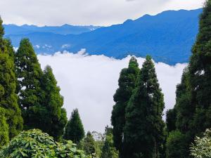 a view of a valley of clouds in the mountains at Serenity Nest in Lava