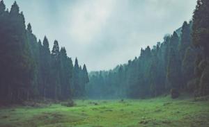 Galeriebild der Unterkunft Lama homestay in Darjeeling