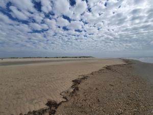 - une vue sur une plage avec un ciel nuageux dans l'établissement 16 person holiday home in Rømø, à Rømø Kirkeby