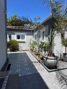 a house with a palm tree in the front yard at Studio Seabiscuit in Cape Town
