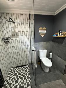 Un baño con inodoro y ducha en Studio Seabiscuit, en Ciudad del Cabo