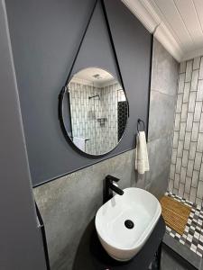 un baño con lavabo y espejo en Studio Seabiscuit, en Ciudad del Cabo 1 foto más
