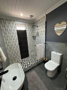 Un baño con lavabo, inodoro y ducha. en Studio Seabiscuit, en Ciudad del Cabo