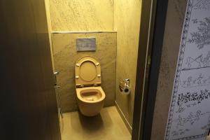 a bathroom with a toilet in a bathroom stall at Rabwa Geodesic Dome in Misfāh