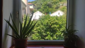 Billede fra billedgalleriet på Woodpecker Backpacker Hostel & Tours , Excursions i Zelenika