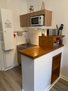 Kuchyň nebo kuchyňský kout v ubytování Studio dans l'ancien Palace du Mont-Dore