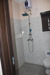 a bathroom with a shower and a toilet at Folks Apartment in Mama