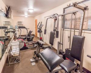 una palestra con diversi tapis roulant e macchinari per il fitness di Quality Inn Pell City I-20 exit 158 a Pell City