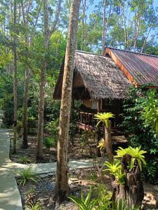 une maison au milieu d'une forêt dans l'établissement Dahla Lanta Hut, à Ko Lanta 64 autres photos