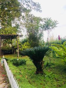 Billede fra billedgalleriet på Villa Elora i Bandarawela