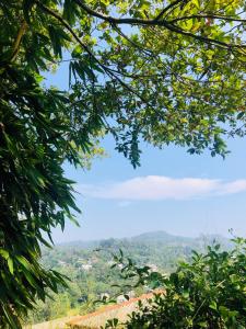 Billede fra billedgalleriet på Villa Elora i Bandarawela + 7 billeder