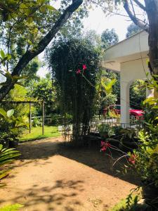 a garden with a gate and a bush with pink flowers at Villa Elora in Bandarawela