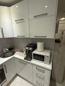 Køkken eller tekøkken på Andreso Villa Relax