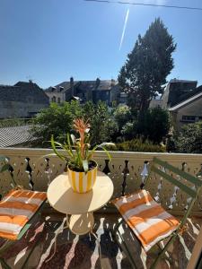 T3 Le Prima - Climatisation - Parking gratuit في بانيير-دوبيغور: طاولة مع نباتات الفخار على الشرفة