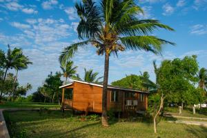 een klein huis met een palmboom ernaast bij Signature Collections by Eight Continents in Utende