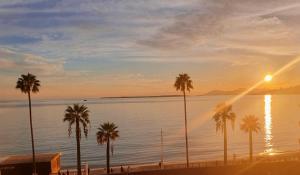 un groupe de palmiers sur une plage au coucher du soleil dans l'établissement FACE MER TOUT CONFORT situation exceptionnelle, à Antibes