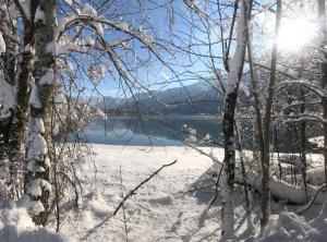 Afbeelding uit fotogalerij van Haus Hirschpoint in Faistenau