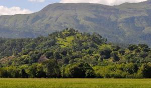 Příroda nedaleko penzionu