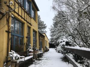 een met sneeuw bedekte straat voor een gebouw bij Haus Friedland in Pirna