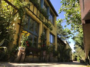 een geel huis met planten aan de zijkant bij Haus Friedland in Pirna