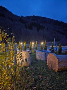 a garden with trees and lights at night at Vikendica GORSKI VUK Jelovica in Berane