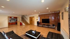 a living room with a couch and a tv at Sabina house in Vestec
