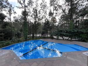 Πισίνα στο ή κοντά στο DNC Shevaroys Resorts & Spa