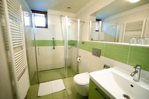 a bathroom with a shower and a toilet and a sink at Aparthotel Mádr in Modrava