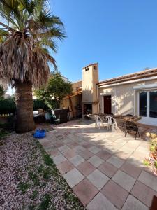 佩罗勒Villa entre Montpellier et Camargue的一座房子旁的庭院,里面种着棕榈树