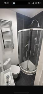a bathroom with a shower and a toilet and a sink at The Cozy House Luton in Luton +2 photos
