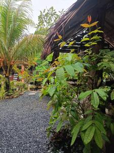 a garden with a bunch of plants and a building at Dahla Lanta Hut in Ko Lanta