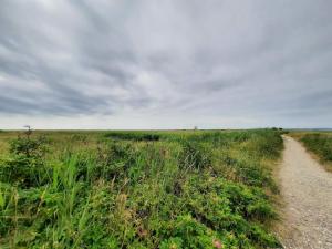 eine unbefestigte Straße mitten auf einem Feld in der Unterkunft 8 person holiday home in Ebeltoft-By Traum in Ebeltoft