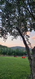 Φυσικό τοπίο κοντά σε αυτή η βίλα