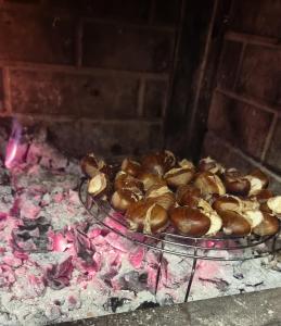 Εγκαταστάσεις μπάρμπεκιου για όλους τους επισκέπτες της βίλας