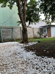 Un montón de rocas debajo de un árbol en un patio. en Home Dốc Mơ, en Xã Gia Tân 3 fotos más