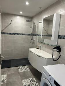 a bathroom with a shower and a sink and a washing machine at Au coeur des Alpes 4 in La Roche-sur-Foron