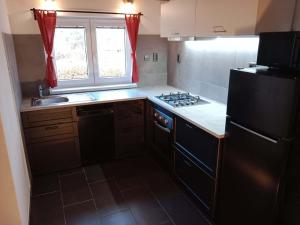 a kitchen with a black refrigerator and a sink at Wellness chata BABÍ VRCH in Trojanovice +6 photos