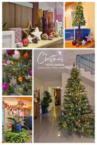 Φωτογραφία από το άλμπουμ του HOTEL MARIA σε Gramatneusiedl