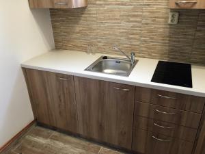 a kitchen with a sink and wooden cabinets at Apartment Šárka in Strupčice
