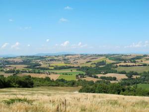 vista su un campo da una collina alberata di Casa di Nadia a Civitella deʼ Conti