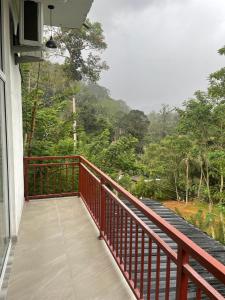 un balcón de una casa con vistas a un bosque en Sinharaja Eliphinity Hotel and Restaurant, en Nikawatawana 62 fotos más