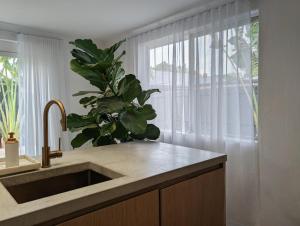 Fotografie z fotogalerie ubytování Close to beach & cafés with a quiet, fenced garden and flexible sleeping arrangements v destinaci Byron Bay + 23 fotografií